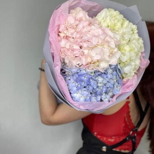 Гортензии облако