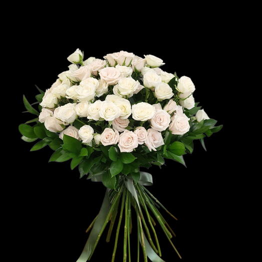 Розы Жозефин и Роял