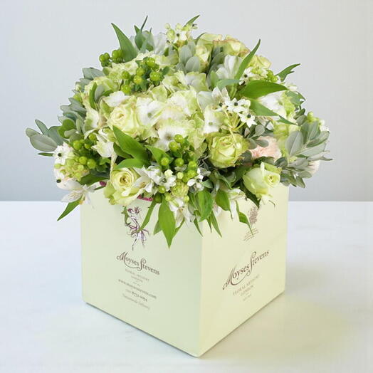 Элегантность