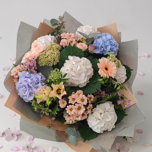 Mother s Day Peach   Blush Hydrangea