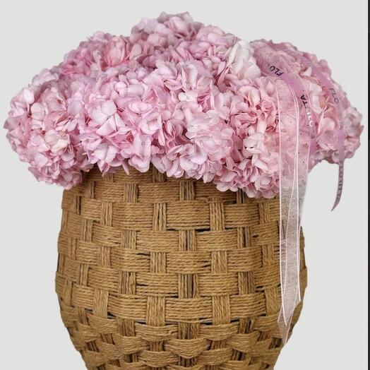 Cotton Bloom (hydrangeas )