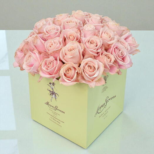 Цветение сакуры