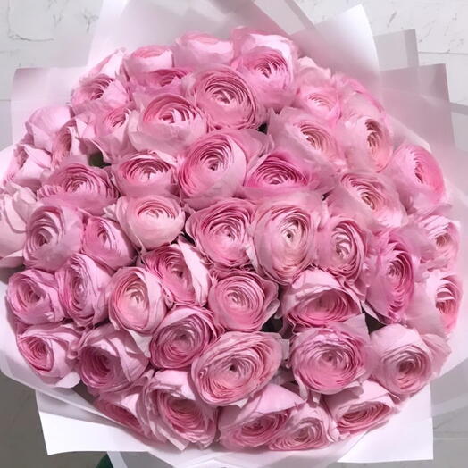 50 розовых ранункулюсов