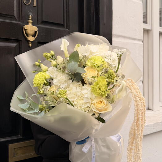 Cream   Lime Radiance