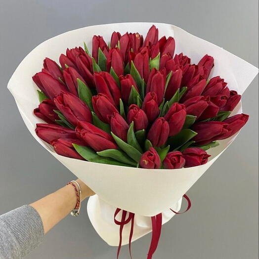 Red tulips 2