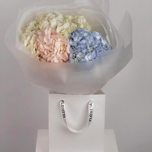 Pastel Charm Hydrangea Bouquet