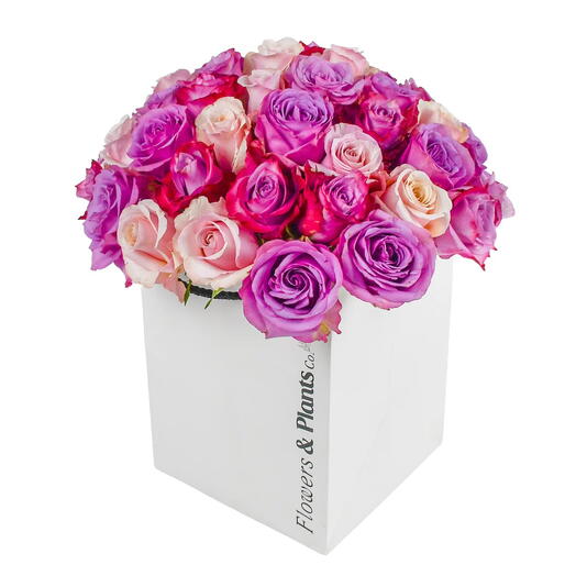 Strawberries   Cream