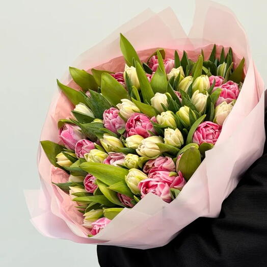50 White and Pink Tulips