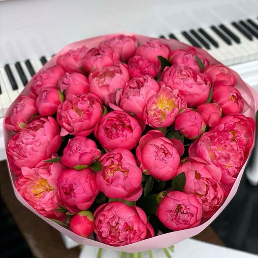 20 coral peonies