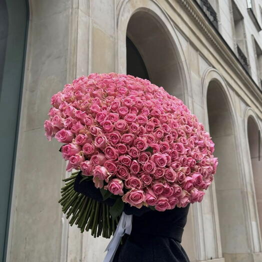 101 pink premium roses