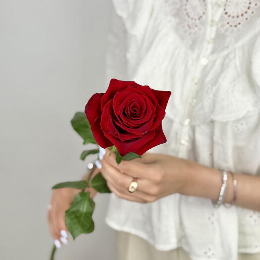 Passionate Pick – Red Rose for Deep, Meaningful Gifts