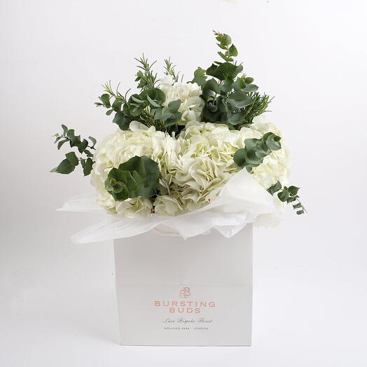 Чистое блаженство