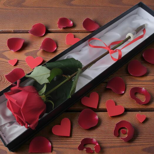 Single Rose – Gift Box