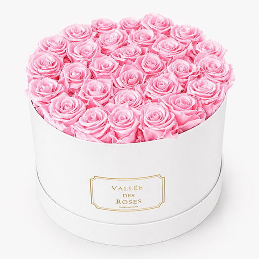 30 Pink 1 Year Lasting Roses