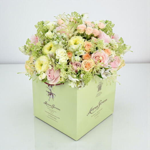 Мэрилин Монро