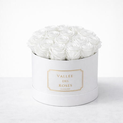 White Eternity Roses