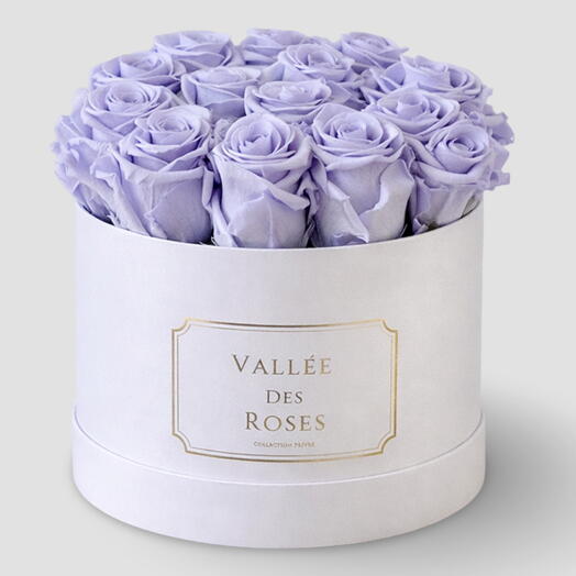 Baby Lavander  Preserved Roses