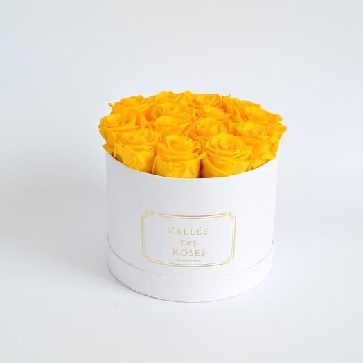 Yellow Preserved Roses