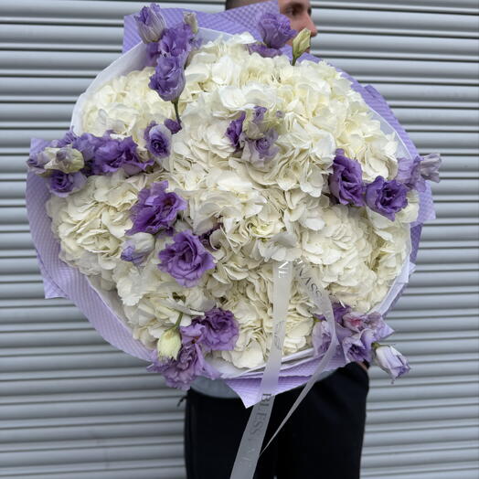 Фиолетовый румянец