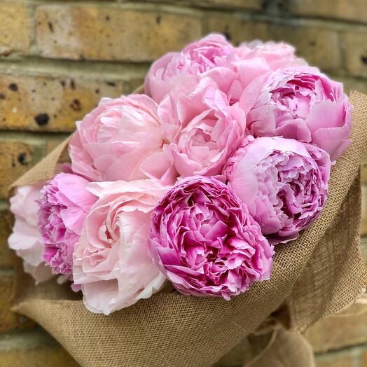 Pink peonies