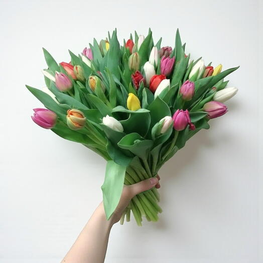 Tulip Medley
