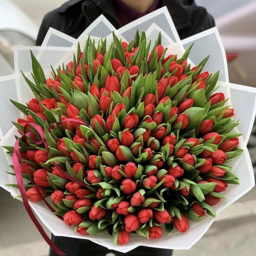 150 x Red Tulips