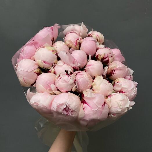 24 Light Pink Peonies