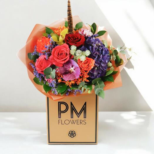 Gianni – A Vivid Celebration of Bold Elegance