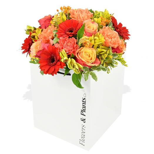 Персик Мельба