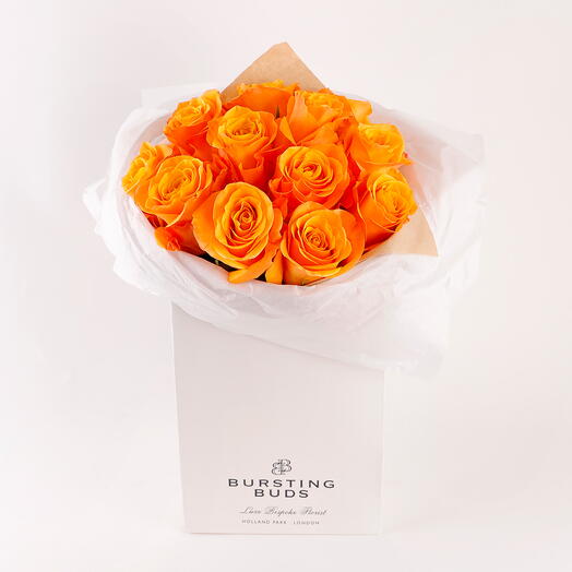 Golden Glow Elegance