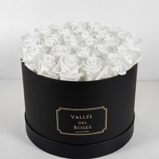 White 1 Year Lasting Rose Arrangement