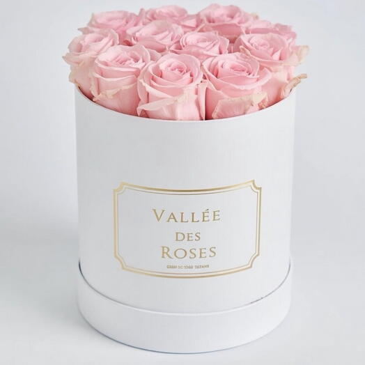 Light Pink Eternity Roses
