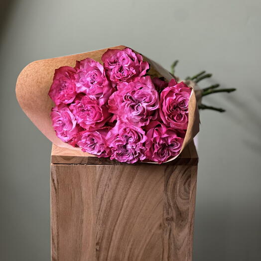 Fuchsia rose collection