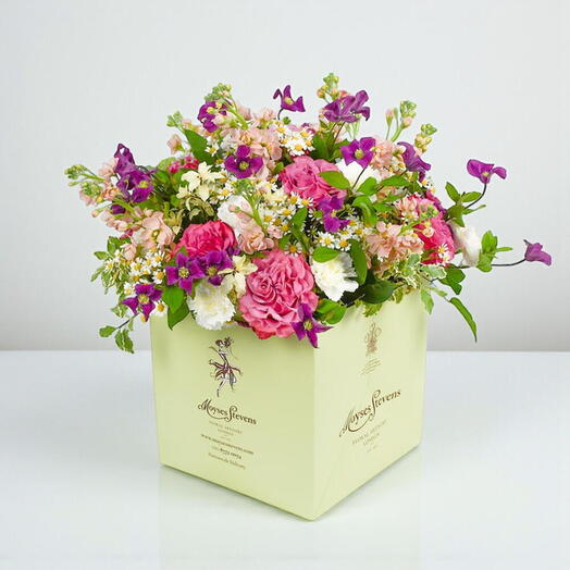 Милая ромашка