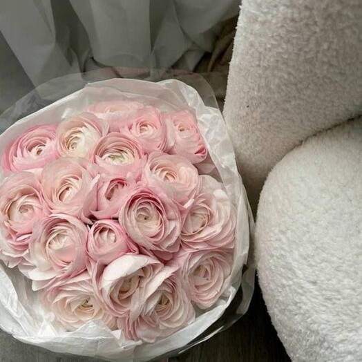 Pink Ranunculus
