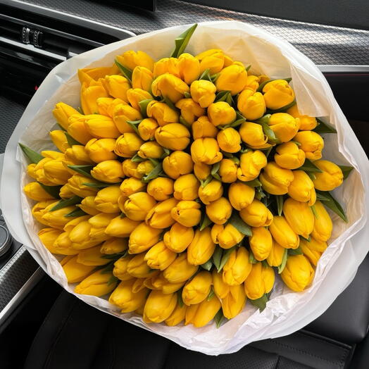 100 yellow tulips