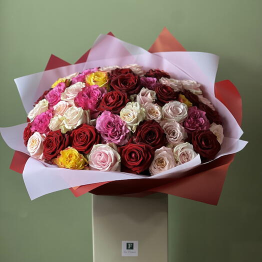 Extravagant colourful collection II