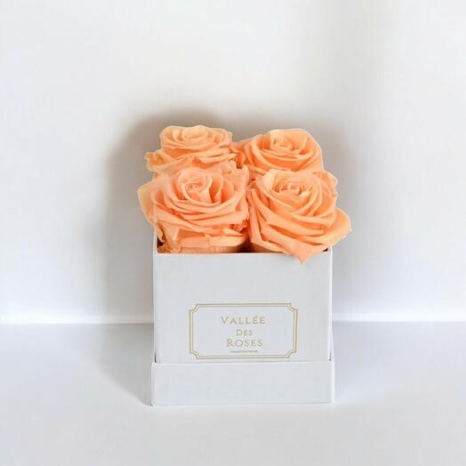 Peach Preserved Roses in White Box