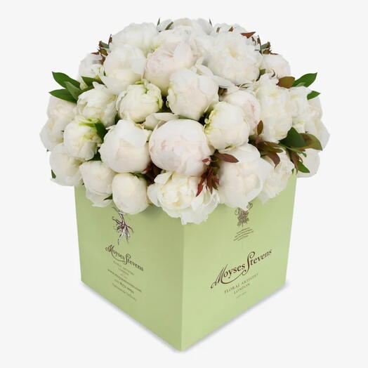 White Peonies