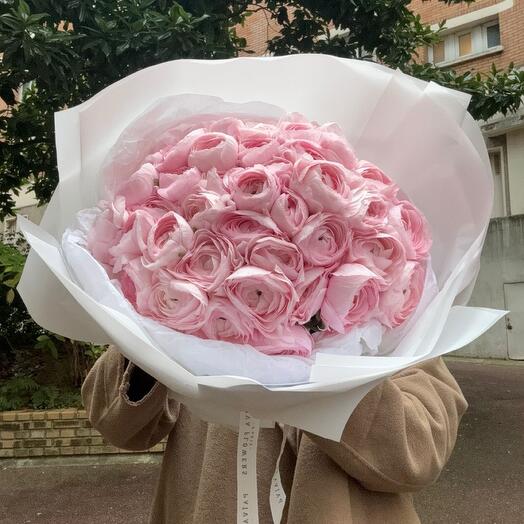 Ranunculus Hanoi 49stmp