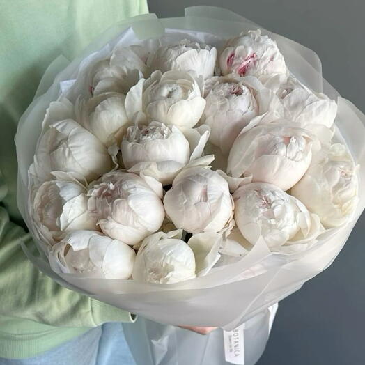 White peonies lux
