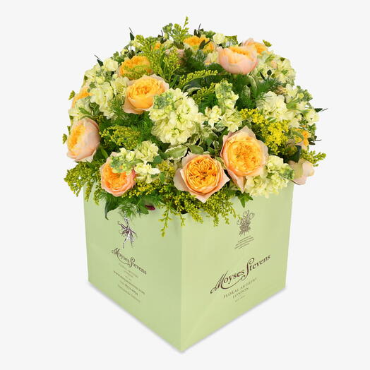 Золотой рассвет