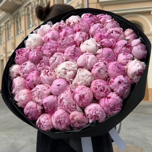 50 pink peonies