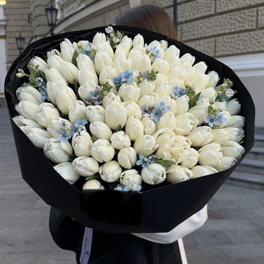 150 white tulips and blue
