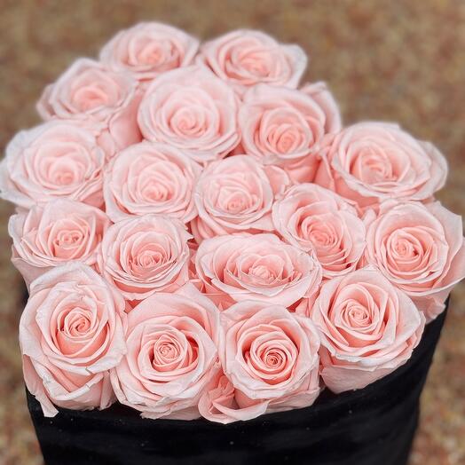 Peach roses