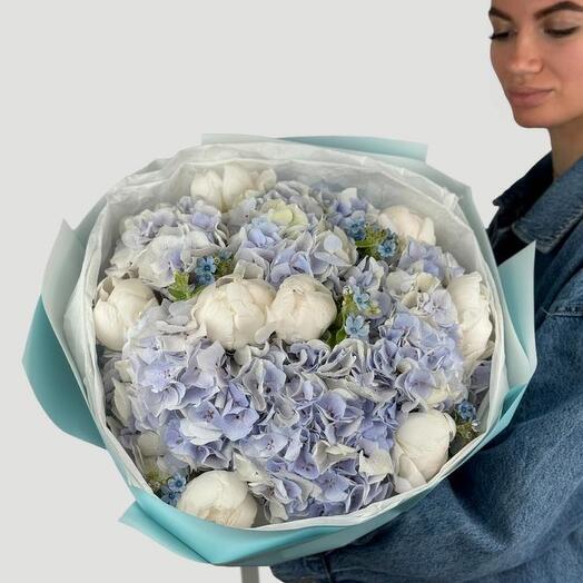 Blue Haze Size L (hydrangeas , peonies and  oksipelatum )