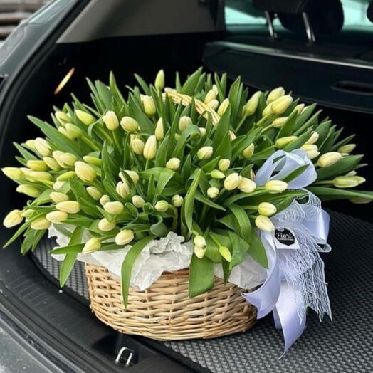 Корзина из 100 белых тюльпанов