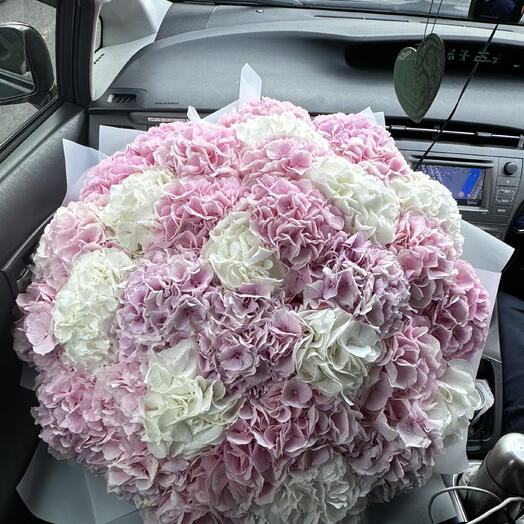 Hydrangeas cloud XXL