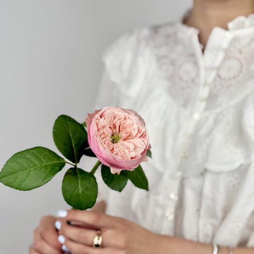 Peony Rose Elegance – Romantic Flair for Custom Bouquets