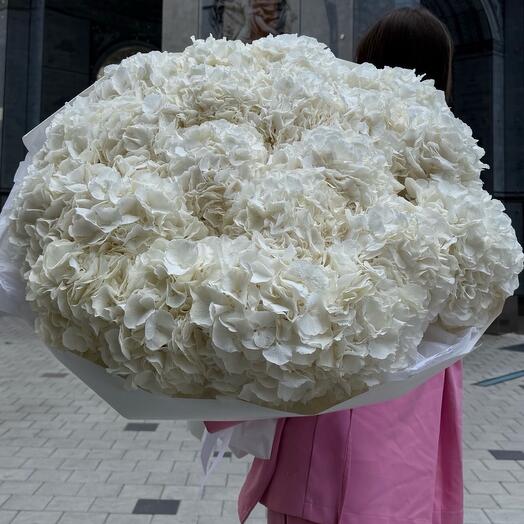 Жемчужная симфония